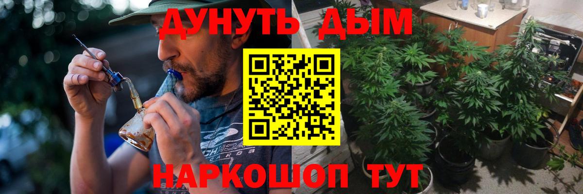 Шишки марихуана марихуана Будённовск